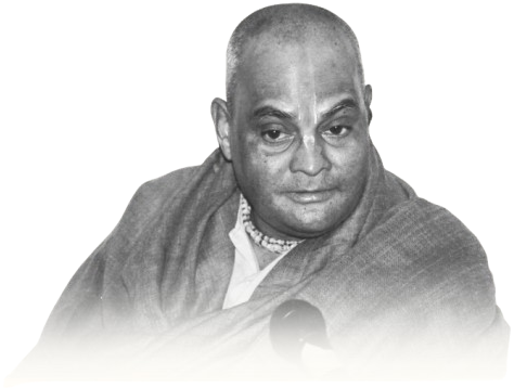 Srila Gour Govinda Swami Maharaja
